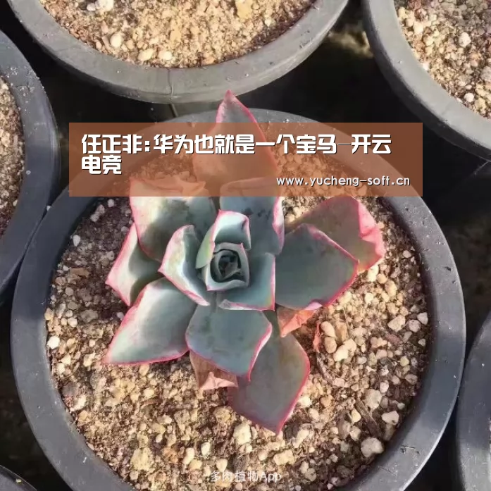 任正非:华为也就是一个宝马-开云电竞(图1) 开云电竞app下载安装